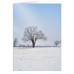 Hervorragende Winter Oak Tree Grußkarte