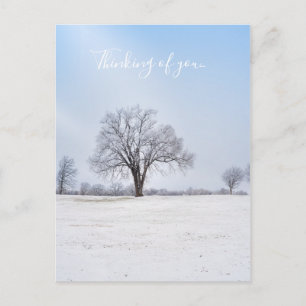 Hervorragende Winterbaumdenken Postkarte