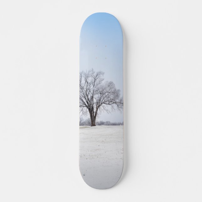 Hervorragende Wintereiche Skateboard (Vorne)