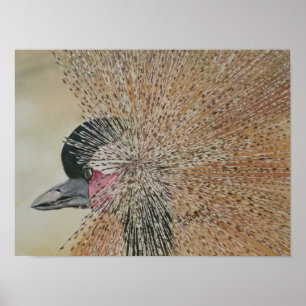 Hervorragender afrikanischer Kranvogel Poster