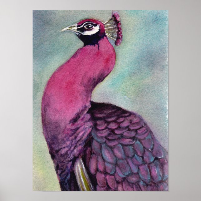 Hervorragender Hot Pink Peacock Poster (Vorne)
