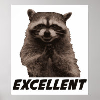 Hervorragendes böse Plotter-Raccoon