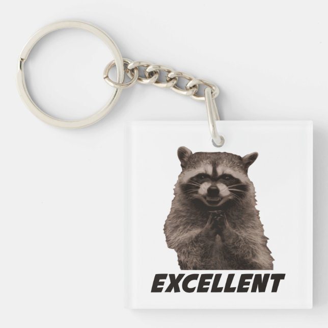 Hervorragendes böse Plotting-Raccoon Schlüsselanhänger (Vorderseite)