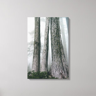 Hervorrufen des Waldes Leinwanddruck
