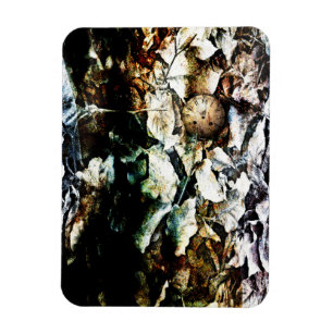 Herz 2012 magnet