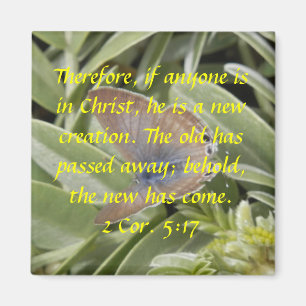 Herz 2. 5:17 Schmetterlings-Magnet Magnet