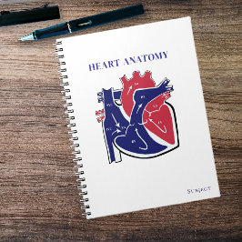 Herz Anatomie- Notizblock