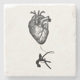 Herz-Anatomie - Trapezkünstler Steinuntersetzer