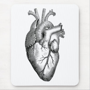 Herz-Anatomie-Wissenschaft Mousepad