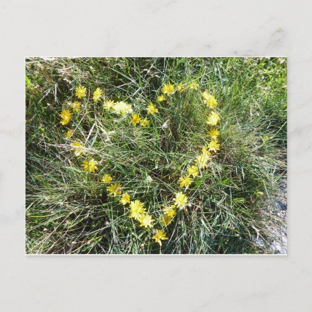 Herz aus Blumen Postkarte (Vorderseite)