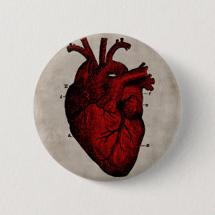 Herz-Button Button