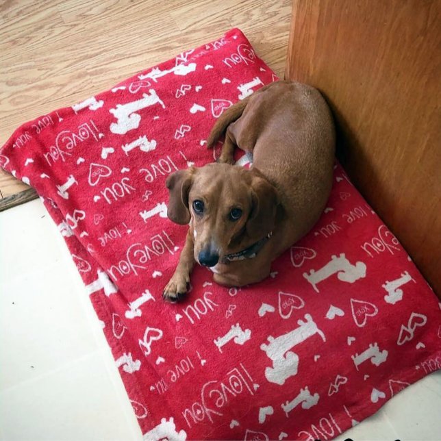 Herz-Decke Dackel-Dackelvalentines Tages Fleecedecke (Dachshund & heart doodles plush minky blanket)