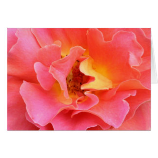 Herz der leeren Karte der Rose