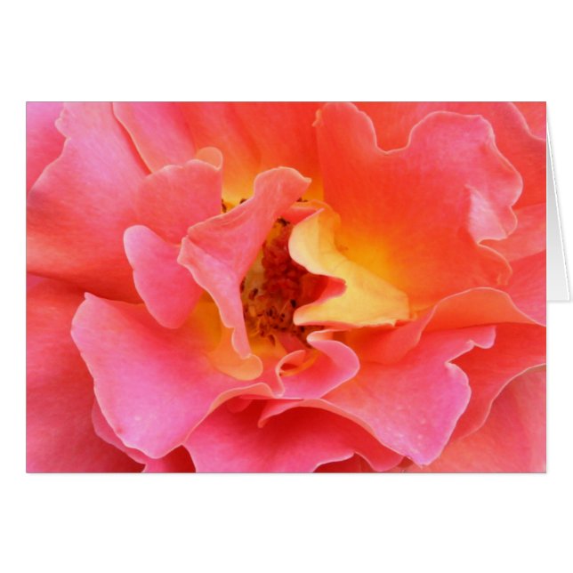 Herz der leeren Karte der Rose (Vorderseite (Horizontal))