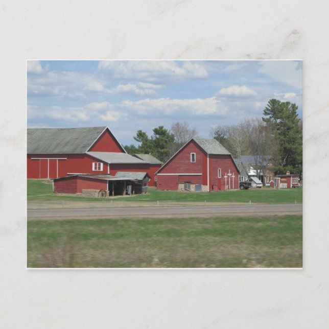 Herz des Lebens Postkarte (Vorderseite)