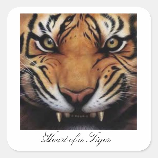 Herz eines Tigerklebers Quadratischer Aufkleber (Vorderseite)