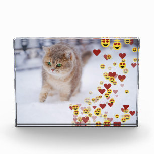 Herz-Emoji-Foto-Block Fotoblock