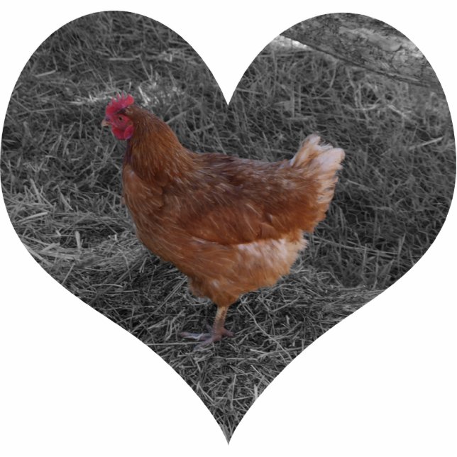 Herz-geformte Huhn-Weihnachtsverzierung Fotoskulptur Ornament (Vorne)