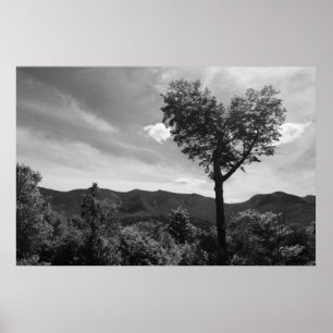 Herz-geformter Baum Poster