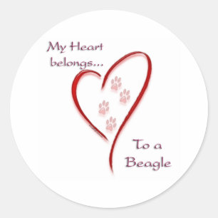 Herz gehört zum Beagle; Liebe Beagles; Beagle Lieb Runder Aufkleber