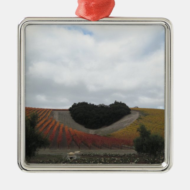 Herz-Hügel an Niner Anwesen, im Herbst Silbernes Ornament (Vorne)