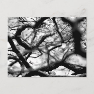 Herz in den Branchen Postkarte