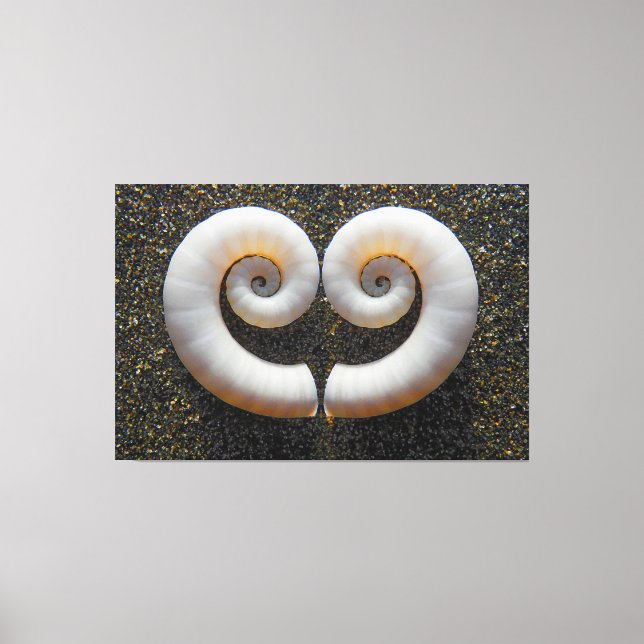 HERZ-MUSCHELN 40x60 Leinwanddruck (Vorderseite)