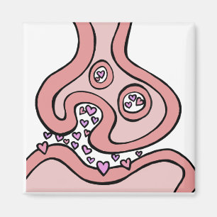 Herz Neurotransmitter Magnet