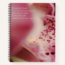 Herz - Orchideen