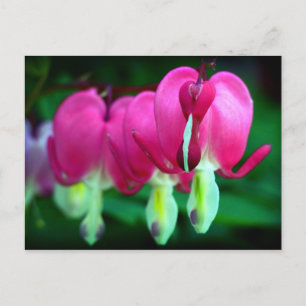 Herz Postkarte