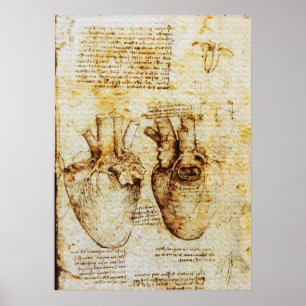 Herz, seine Blutgefäße, Leonardo Da Vinci, Sepia Poster