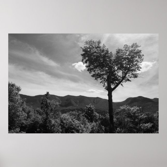 Herz-Shaped Tree Poster (Vorne)