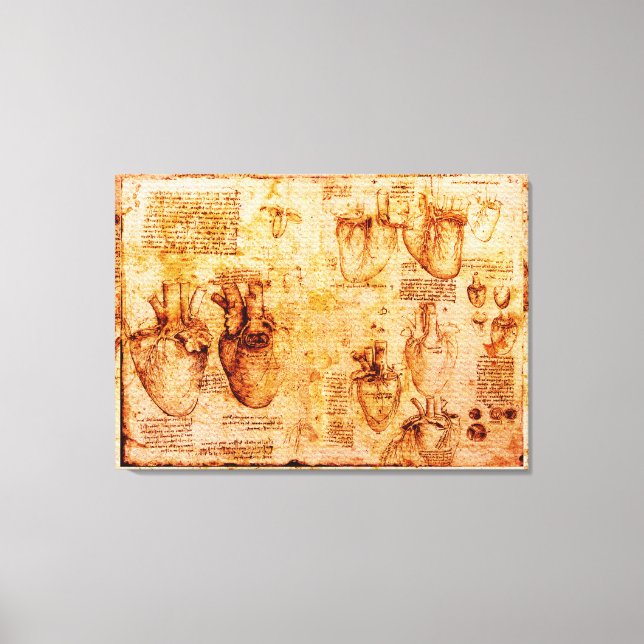 Herz und Blutgefäße, braun Leinwanddruck (Vorderseite)