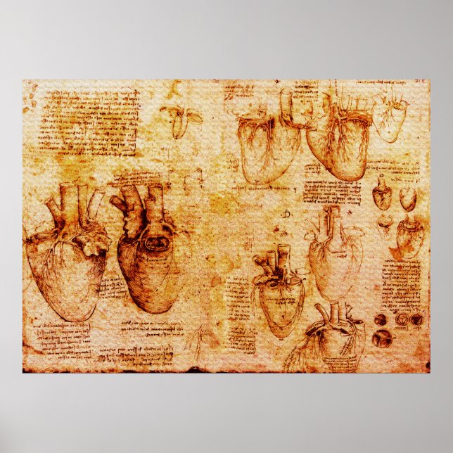 Herz und Blutgefäße , braun Poster (Vorne)