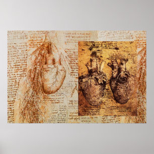 Herz und Blutgefäße / Bronchiale Arterien Poster