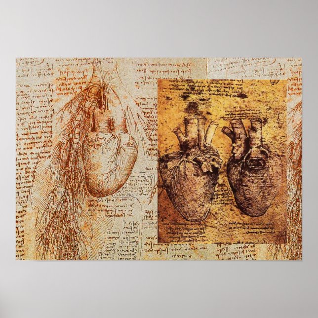 Herz und Blutgefäße / Bronchiale Arterien Poster (Vorne)