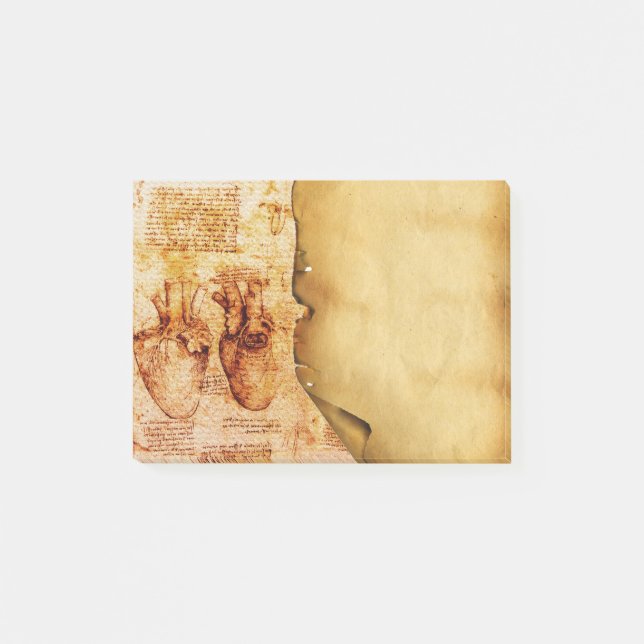 Herz und Blutgefäße Medizinisches Pergament Post-it Klebezettel (Vorderseite)