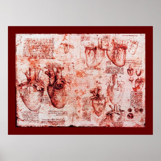 Herz und Blutgefäße , rote Leinwand Poster (Vorne)