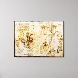 Herz und Blutgefäße, Sepia Leinwanddruck