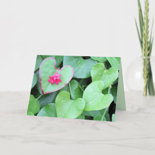 Herz und Natur Muttertagskarte (Calico Pflanze) Karte