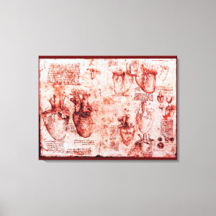 Herz und seine Blutgefäße, Leonardo Da Vinci, Rot Leinwanddruck