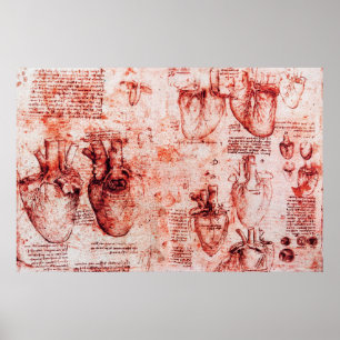 Herz und seine Blutgefäße Leonardo Da Vinci,Rot Poster