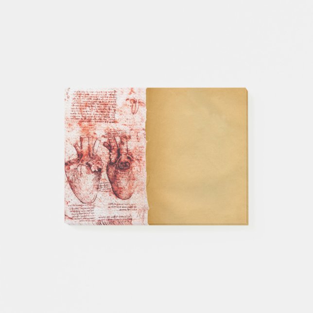 Herz und seine Blutgefäße Medizinisches Pergament  Post-it Klebezettel (Vorderseite)