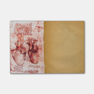 Herz und seine Blutgefäße Medizinisches Pergament  Post-it Klebezettel