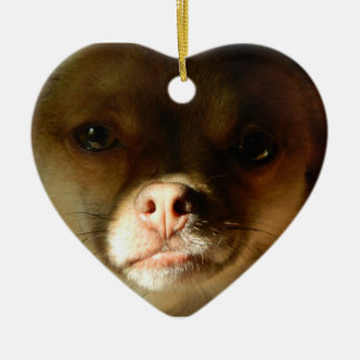 Herz-Verzierung mit einer Chihuahua-Spitzmischung Keramik Ornament
