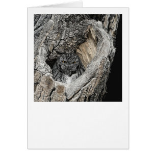 "Herz von San Pedro" - Schrei