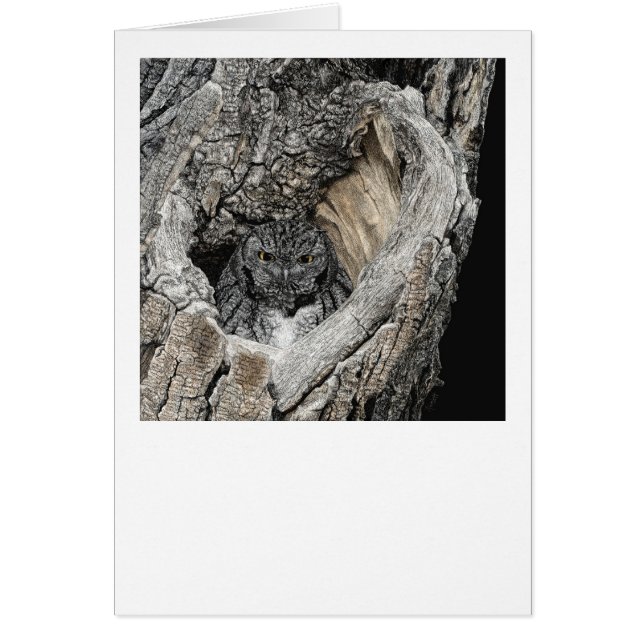 "Herz von San Pedro" - Schrei (Vorne)