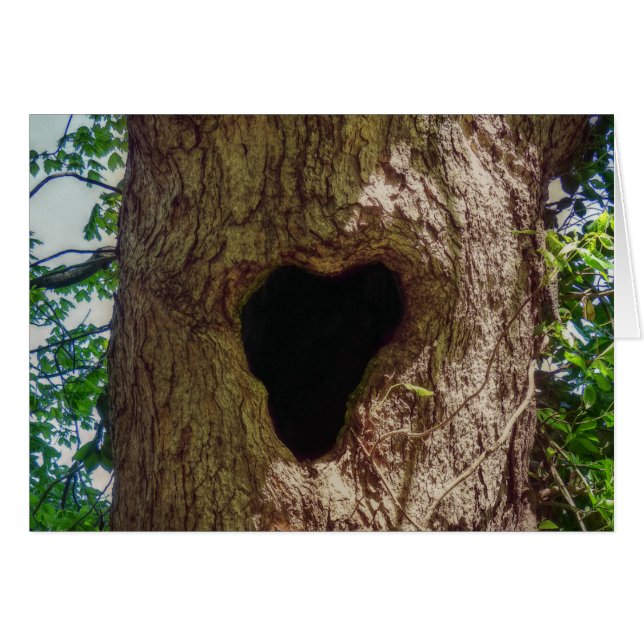 Herzbaum (Vorderseite (Horizontal))