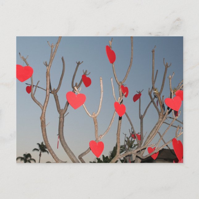 Herzbaum Postkarte (Vorderseite)