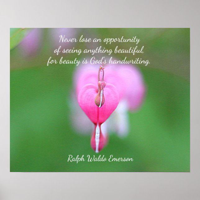 Herzblutungen Poster (Vorne)